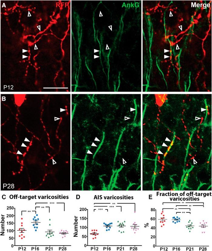 https://cdn.ncbi.nlm.nih.gov/pmc/blobs/651e/5458751/5ec77a40dc27/enu0031723090003.jpg