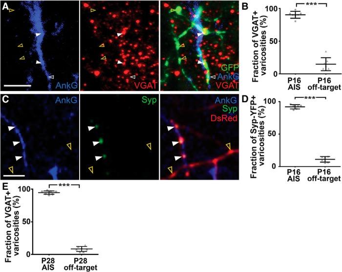 https://cdn.ncbi.nlm.nih.gov/pmc/blobs/651e/5458751/b1894dc7521b/enu0031723090004.jpg