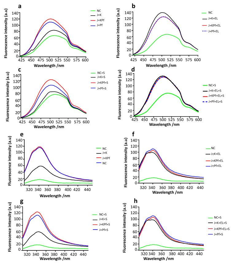 https://cdn.ncbi.nlm.nih.gov/pmc/blobs/6520/7356358/06fd5a903717/biomolecules-10-00856-g004.jpg