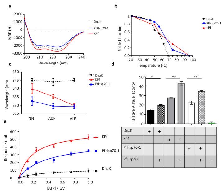 https://cdn.ncbi.nlm.nih.gov/pmc/blobs/6520/7356358/a9ab87295e76/biomolecules-10-00856-g001.jpg