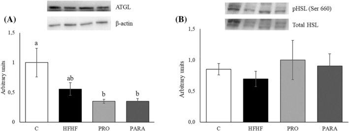 https://cdn.ncbi.nlm.nih.gov/pmc/blobs/6521/11680974/0b40e1a5eed0/BIOF-51-0-g008.jpg