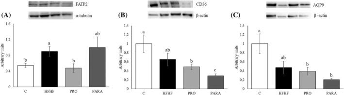 https://cdn.ncbi.nlm.nih.gov/pmc/blobs/6521/11680974/2581cf79ca58/BIOF-51-0-g005.jpg