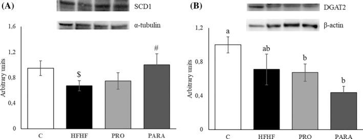 https://cdn.ncbi.nlm.nih.gov/pmc/blobs/6521/11680974/310a09af68ad/BIOF-51-0-g004.jpg