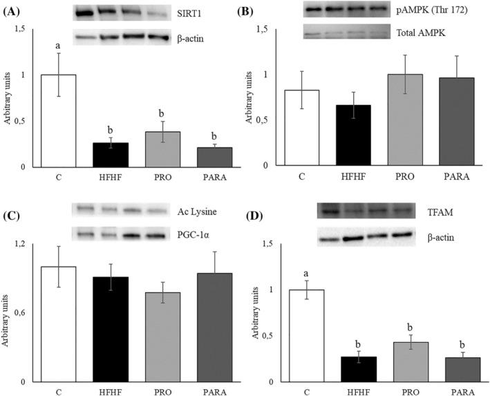 https://cdn.ncbi.nlm.nih.gov/pmc/blobs/6521/11680974/49de5e6da6d6/BIOF-51-0-g010.jpg