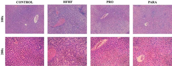 https://cdn.ncbi.nlm.nih.gov/pmc/blobs/6521/11680974/608353ba63e5/BIOF-51-0-g001.jpg