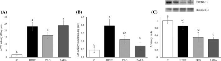 https://cdn.ncbi.nlm.nih.gov/pmc/blobs/6521/11680974/6d7182515b47/BIOF-51-0-g006.jpg