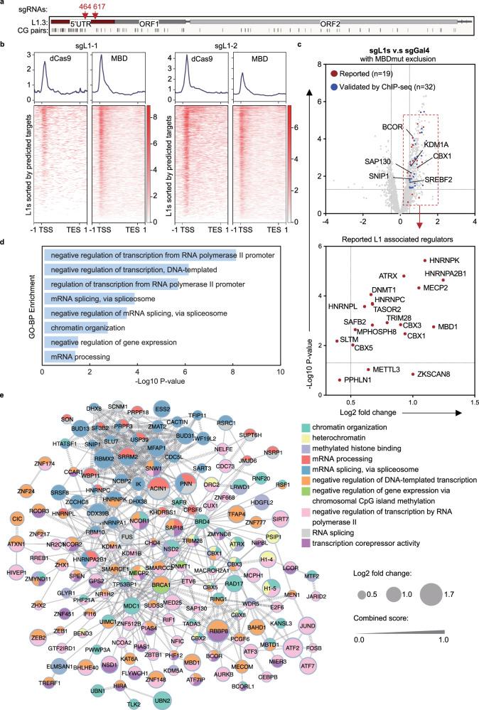 https://cdn.ncbi.nlm.nih.gov/pmc/blobs/6521/12008204/692c66ed26ea/41467_2025_59002_Fig5_HTML.jpg