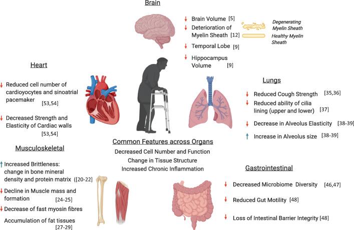 https://cdn.ncbi.nlm.nih.gov/pmc/blobs/6524/7665974/28bdd8152b20/281_2020_824_Fig1_HTML.jpg