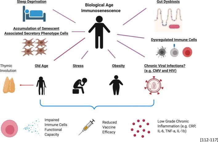 https://cdn.ncbi.nlm.nih.gov/pmc/blobs/6524/7665974/807ae98175d4/281_2020_824_Fig3_HTML.jpg