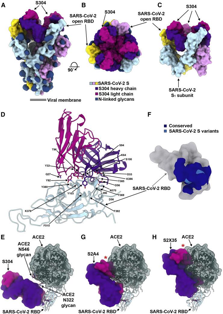 https://cdn.ncbi.nlm.nih.gov/pmc/blobs/6525/7494283/000569357dfe/gr6_lrg.jpg
