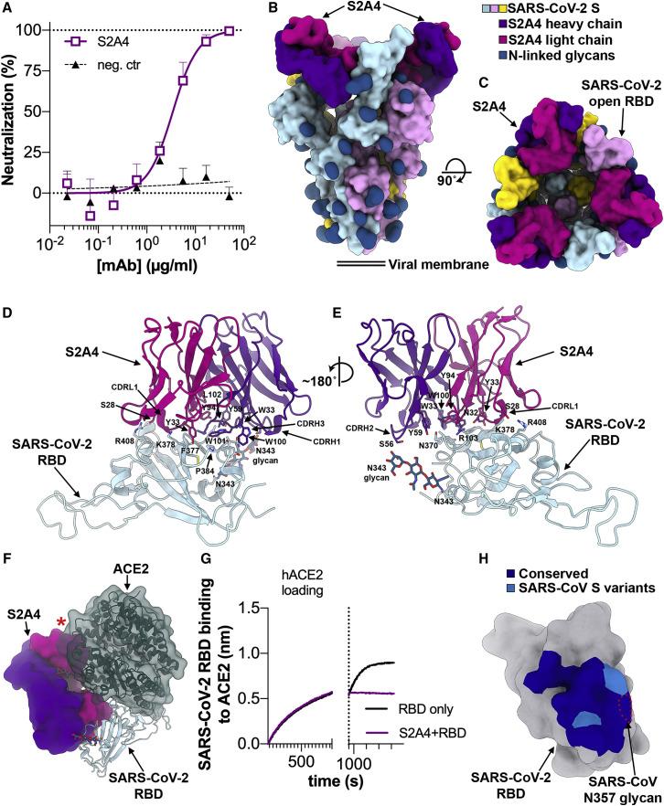 https://cdn.ncbi.nlm.nih.gov/pmc/blobs/6525/7494283/750806fc1238/gr5_lrg.jpg