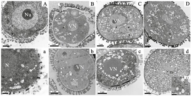 https://cdn.ncbi.nlm.nih.gov/pmc/blobs/6527/10100649/1623c92e8e8d/plad012_fig6.jpg