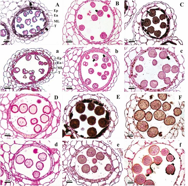 https://cdn.ncbi.nlm.nih.gov/pmc/blobs/6527/10100649/481a776b40b9/plad012_fig5.jpg