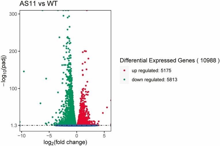 https://cdn.ncbi.nlm.nih.gov/pmc/blobs/6527/10100649/505723547d71/plad012_fig1.jpg