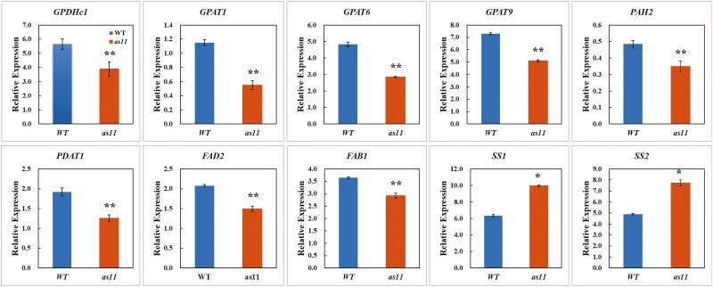 https://cdn.ncbi.nlm.nih.gov/pmc/blobs/6527/10100649/8a060b7fa926/plad012_fig3.jpg