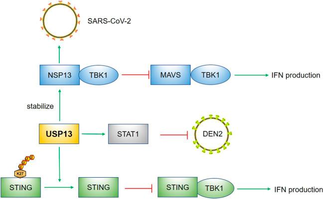 https://cdn.ncbi.nlm.nih.gov/pmc/blobs/6527/9515447/afcb6ba3af8c/fmolb-09-977122-g004.jpg