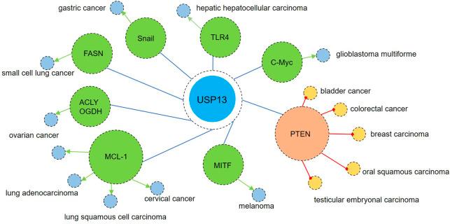 https://cdn.ncbi.nlm.nih.gov/pmc/blobs/6527/9515447/ec15ba0b863b/fmolb-09-977122-g006.jpg