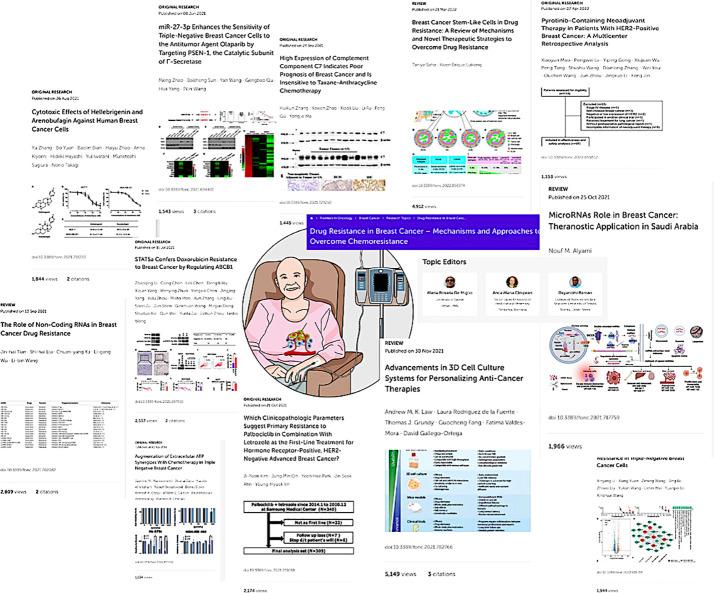 https://cdn.ncbi.nlm.nih.gov/pmc/blobs/6527/9847496/82969c30243d/fonc-12-1080684-g001.jpg