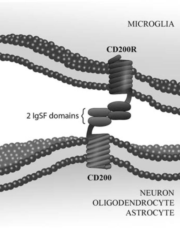 https://cdn.ncbi.nlm.nih.gov/pmc/blobs/6529/4157566/bf15290a3807/CPD-20-4707_F2.jpg