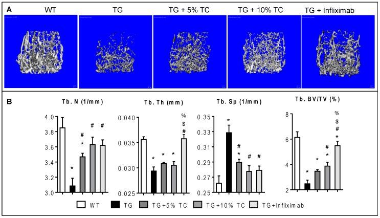 https://cdn.ncbi.nlm.nih.gov/pmc/blobs/652a/6356454/2c0ffdf0e9c2/nutrients-11-00063-g002.jpg