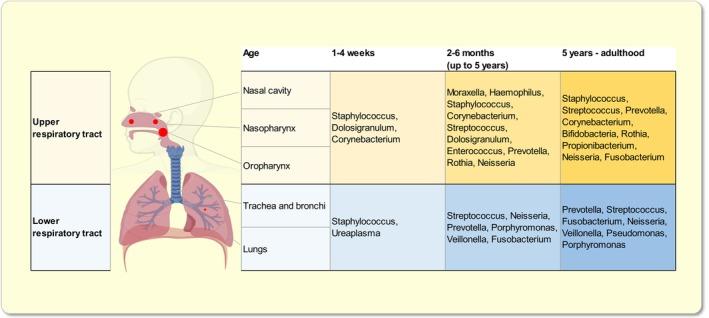 https://cdn.ncbi.nlm.nih.gov/pmc/blobs/652b/11752418/997f87989486/APHA-241-e14266-g001.jpg