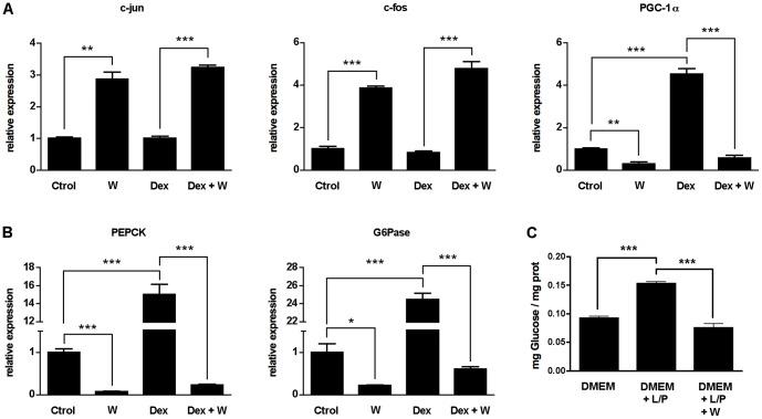 https://cdn.ncbi.nlm.nih.gov/pmc/blobs/652b/3414523/d32fa65a7bf9/pone.0042305.g004.jpg