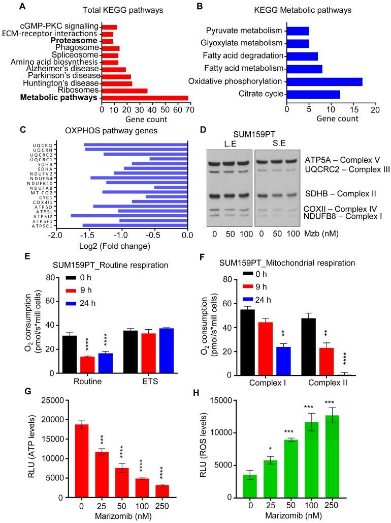 https://cdn.ncbi.nlm.nih.gov/pmc/blobs/652d/7196287/15c294cef839/thnov10p5259g002.jpg