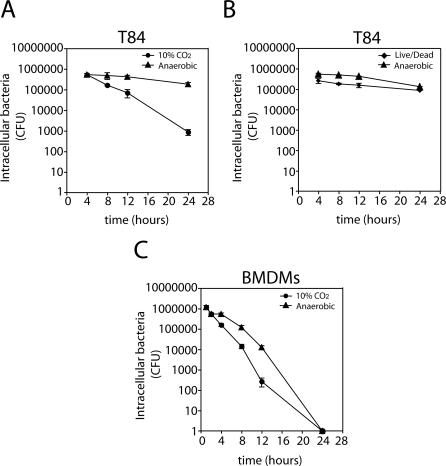 https://cdn.ncbi.nlm.nih.gov/pmc/blobs/652f/2323279/8f931407a4e2/ppat.0040014.g002.jpg
