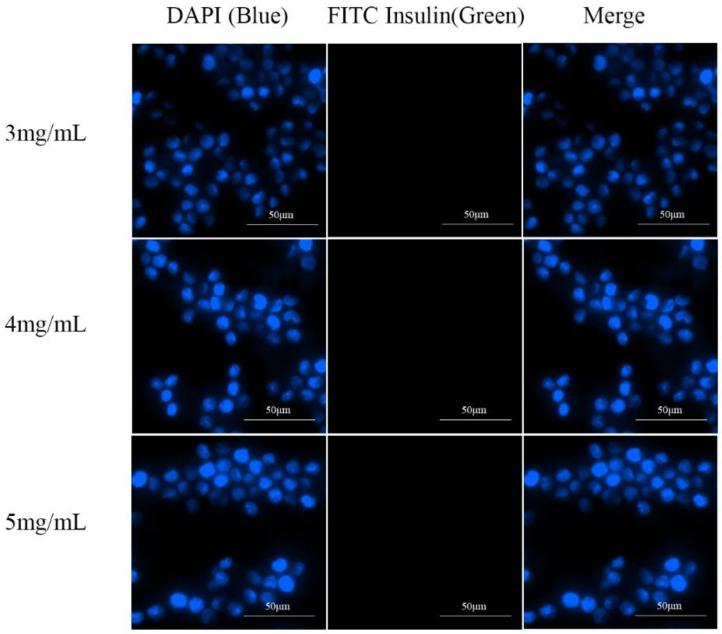 https://cdn.ncbi.nlm.nih.gov/pmc/blobs/6531/11280345/f5fbb2a3eeaa/pharmaceutics-16-00879-g007.jpg
