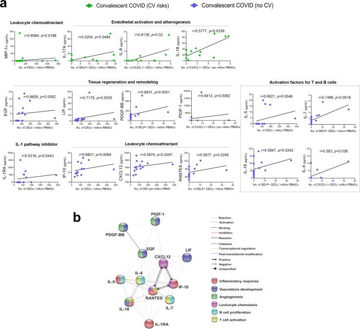 https://cdn.ncbi.nlm.nih.gov/pmc/blobs/6531/7987341/e2fdd97c532f/elife-64909-fig3.jpg
