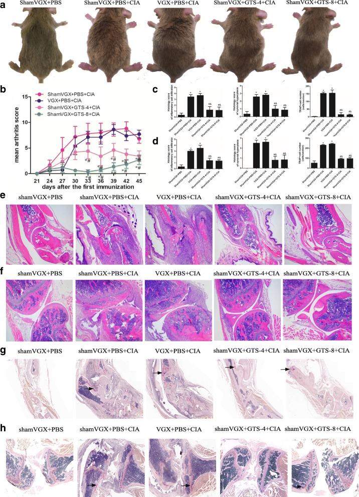 https://cdn.ncbi.nlm.nih.gov/pmc/blobs/6532/6262974/c062d50c9b53/13075_2018_1759_Fig1_HTML.jpg