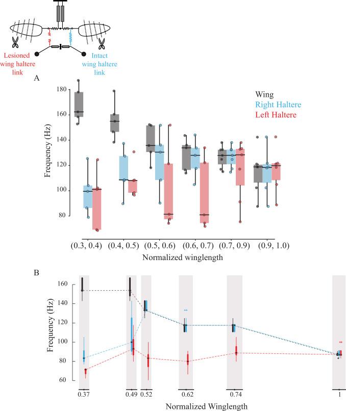 https://cdn.ncbi.nlm.nih.gov/pmc/blobs/6532/8629423/4e315dd2162d/elife-53824-fig3.jpg