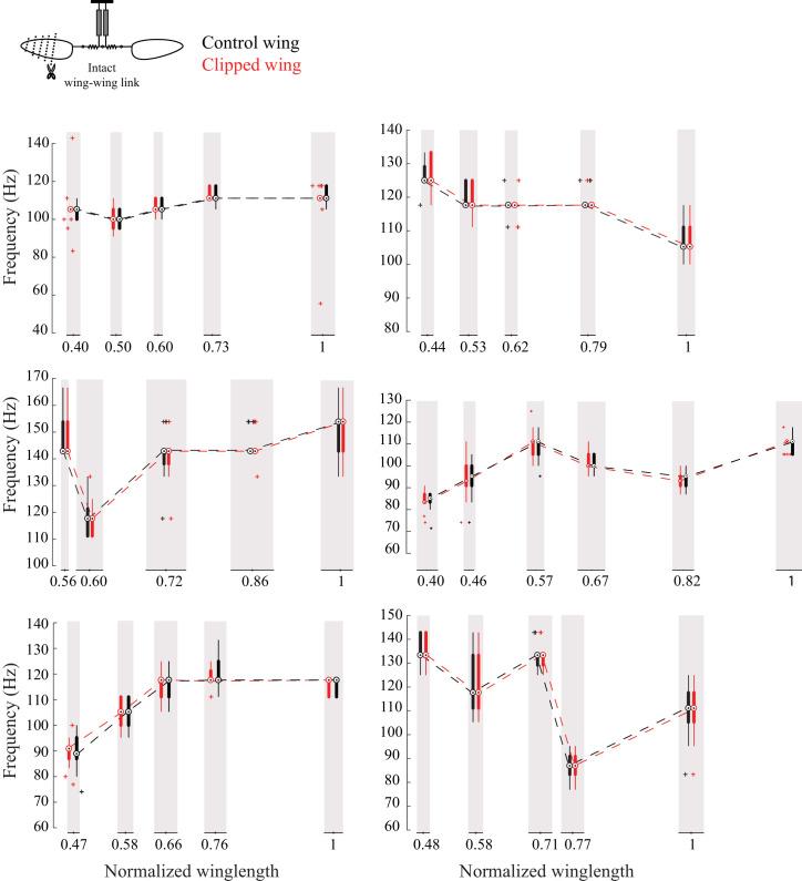 https://cdn.ncbi.nlm.nih.gov/pmc/blobs/6532/8629423/57fd49cf16cd/elife-53824-fig2-figsupp1.jpg