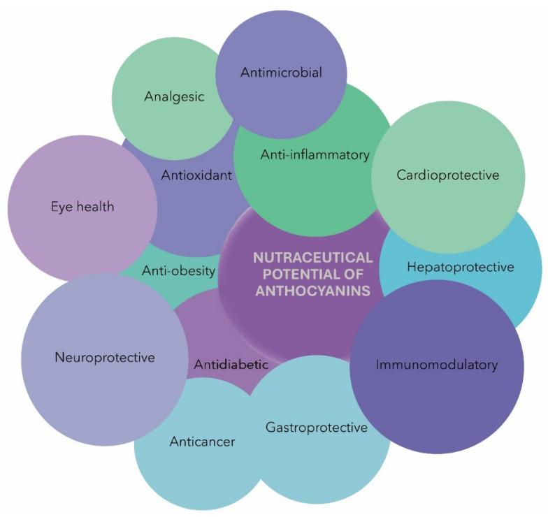 https://cdn.ncbi.nlm.nih.gov/pmc/blobs/6533/10574533/3e137eb77aa2/nutrients-15-04152-g003.jpg
