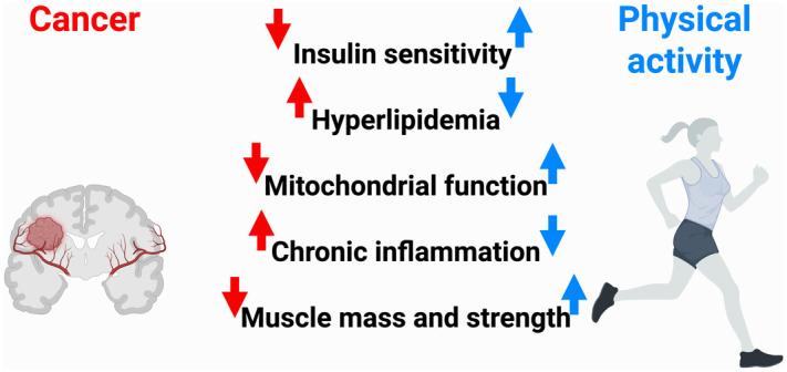 https://cdn.ncbi.nlm.nih.gov/pmc/blobs/6535/12343282/c5c60e9e86b9/fonc-15-1638060-g004.jpg