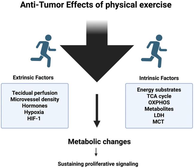 https://cdn.ncbi.nlm.nih.gov/pmc/blobs/6535/12343282/f0e781a66a23/fonc-15-1638060-g003.jpg