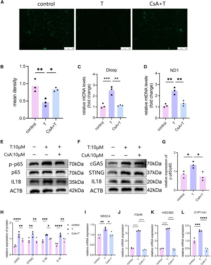 https://cdn.ncbi.nlm.nih.gov/pmc/blobs/6536/12049842/04ac5f4116b4/gr6.jpg