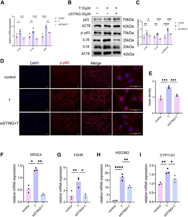 https://cdn.ncbi.nlm.nih.gov/pmc/blobs/6536/12049842/20ab795ce4ce/gr5.jpg