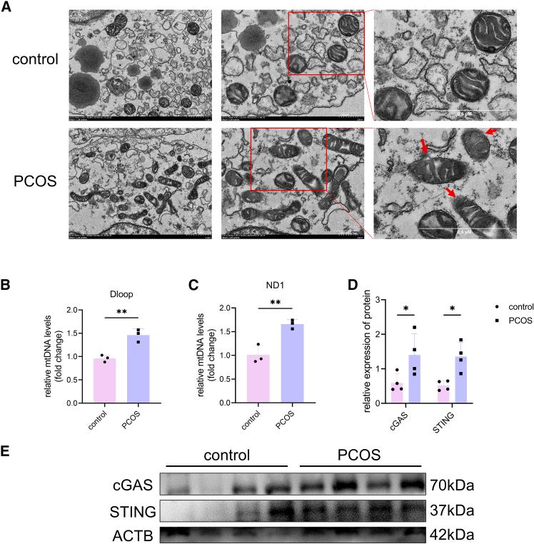 https://cdn.ncbi.nlm.nih.gov/pmc/blobs/6536/12049842/aa57d6312f48/gr3.jpg