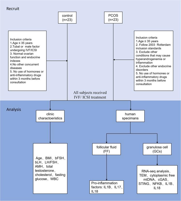 https://cdn.ncbi.nlm.nih.gov/pmc/blobs/6536/12049842/d607a4d27d4d/gr1.jpg