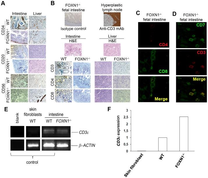https://cdn.ncbi.nlm.nih.gov/pmc/blobs/6537/3857207/797b56e825c5/pone.0081786.g002.jpg