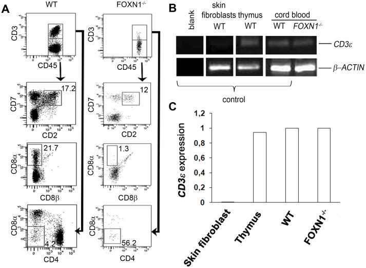 https://cdn.ncbi.nlm.nih.gov/pmc/blobs/6537/3857207/ac7857563e05/pone.0081786.g001.jpg