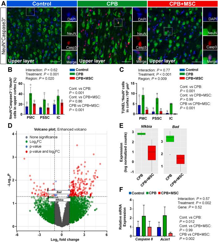 https://cdn.ncbi.nlm.nih.gov/pmc/blobs/6539/10774600/917190677873/gr3.jpg