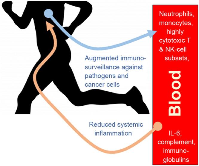https://cdn.ncbi.nlm.nih.gov/pmc/blobs/6539/6523821/a622e5b4ad13/gr3.jpg