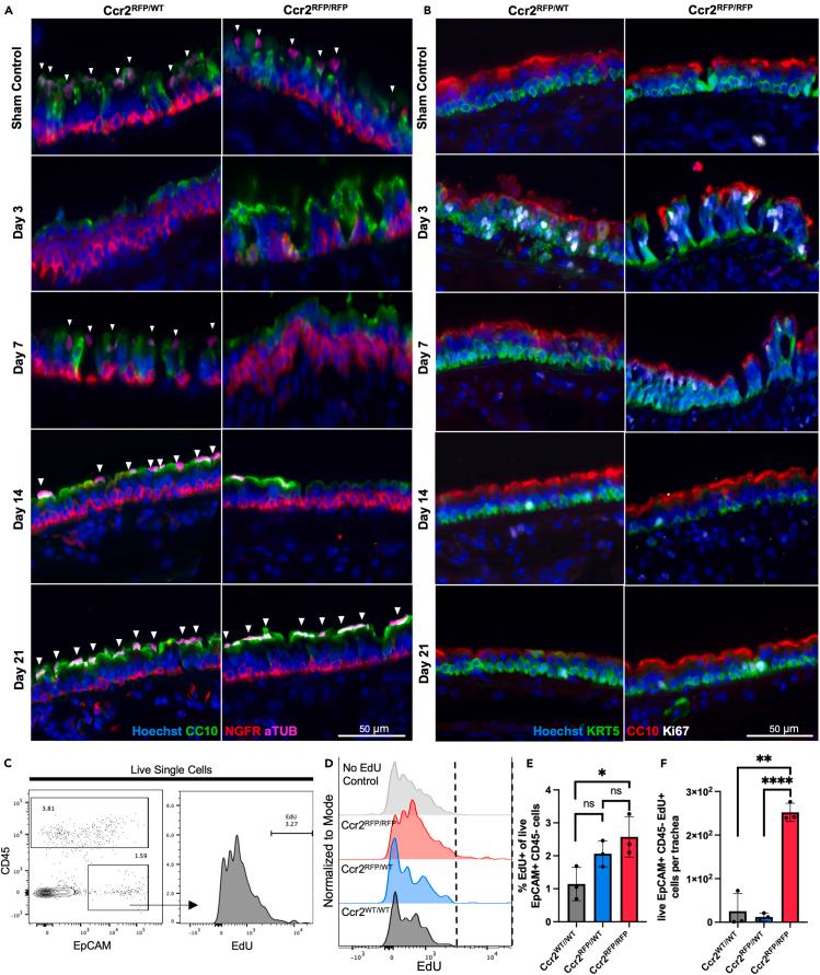 https://cdn.ncbi.nlm.nih.gov/pmc/blobs/653d/11238131/2e92d08b58b6/gr7.jpg