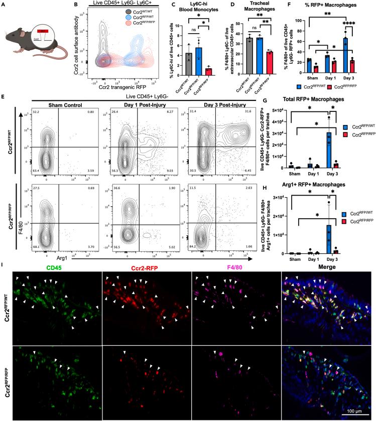 https://cdn.ncbi.nlm.nih.gov/pmc/blobs/653d/11238131/3537d6ba999a/gr6.jpg