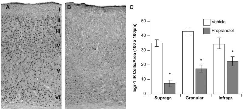 https://cdn.ncbi.nlm.nih.gov/pmc/blobs/653e/3093712/4c552c30a745/nihms279203f3.jpg