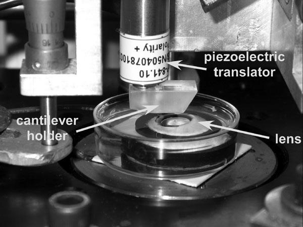 https://cdn.ncbi.nlm.nih.gov/pmc/blobs/6540/2649306/889decb72320/mv-v13-504-f3.jpg