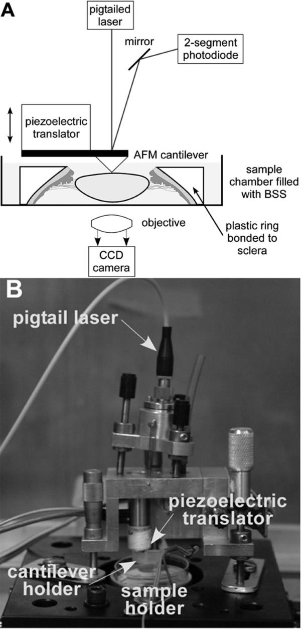 https://cdn.ncbi.nlm.nih.gov/pmc/blobs/6540/2649306/a50896d0ece7/mv-v13-504-f1.jpg