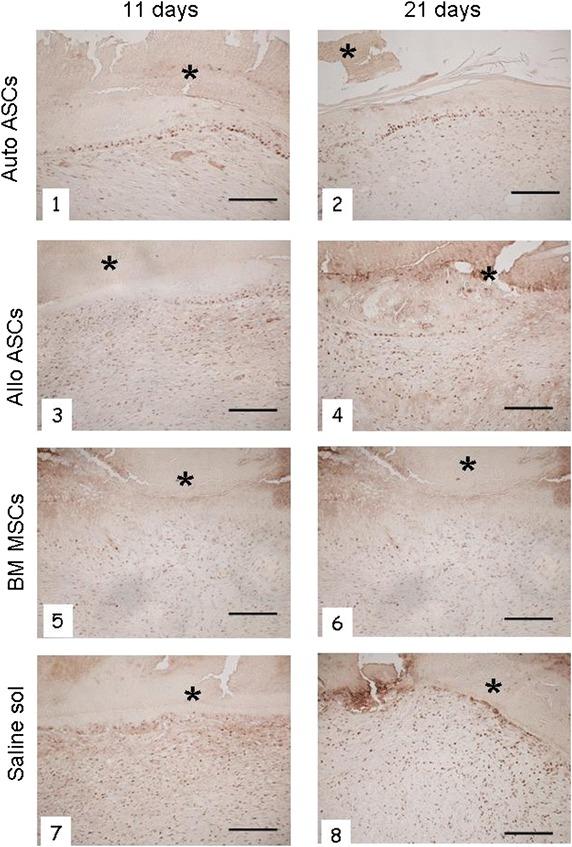 https://cdn.ncbi.nlm.nih.gov/pmc/blobs/6541/4495634/1ac09666912f/12967_2015_580_Fig6_HTML.jpg